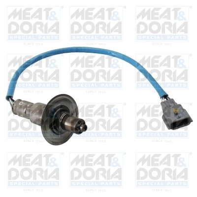 Oxygen Sensor